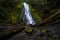 Madison Falls in Elwha River Valley, Olympic National Park