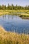 Madison river near West Yellowstone, USA