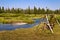 Madison river near West Yellowstone, USA