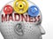 Madness and human mind - pictured as word Madness inside a head to symbolize relation between Madness and the human psyche, 3d