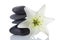 Madonna lily and spa stone