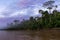 Madre de Dios river in Manu National park with scenery of tropical rain forest in the Peruvian amazonia, wallpaper