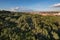 Madrid cityscape aerial view from casa de campo.