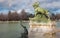 Madrid - Detail from fountain in front of Monument of Alfonso XII in Buen Retiro park