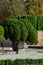 Madrid, Spain, Buen Retiro Park, Botanical garden, park with trees and bushes, landscape design, Green tree and