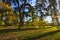 Madrid, Spain, Buen Retiro Park, Botanical garden, park with trees and bushes, landscape design, Green tree and