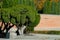 Madrid, Spain, Buen Retiro Park, Botanical garden, park with trees and bushes, landscape design, Green tree and