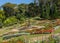 Mae Fah Luang Garden on Doi Tung in Northern Thailand