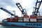 Maersk Line cargo ship unloading containers in Ports of Auckland