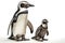 Magellan Penguin With Kid