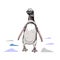 Magellanic penguin Hand drawn vector illustration