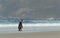 Magellanic penguin walking on a shore of Atlantic ocean