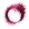 Magenta glitter swirling particles on circle frame isolated on white background.