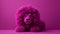 Magenta Knitted Lion Toy On Bold Pink Background