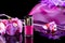 Magenta nail polish on background of women\'s