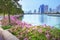 Magenta papers flowers and lake in public park and skyscraper