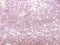 Magenta polarization pearl sequins, shiny glitter background