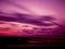 Magenta Tinted Sky Over A Pink Beach In Silhouette