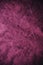 Magenta vintage background. Rough pink and magenta texture and background for designers. Close up view of abstract pink and magent