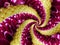 Magenta yellow flower spiral abstract fractal effect pattern background. Floral spiral abstract pattern fractal. Incredible flower