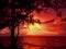 A magestic casuarina tree frames a glorious sunset over the sea at Nightcliff, Darwin, NT Australia