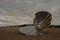 Maggi Hambling`s sculpture of the Scallop on the shingle beach in Aldeburgh