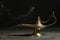 Magic Aladdin Lamp on wooden table