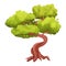 Magic Bonsai tree with twisted trunk, foliage in cartoon style, plant isolated on white background, game ui asset
