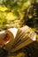 Magic book glowing with yellow lights against the beautiful green forest, mystery, spiritual closeup.