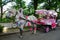 Magic Carriage for Princess in Suzdal