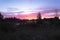 Magic colourful sunrise by the lake with morning fog.  Dark silhouette of trees and water with colourful reflections. Beautiful