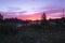 Magic colourful sunrise by the lake with morning fog.  Dark silhouette of trees and water with colourful reflections. Beautiful