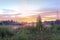 Magic colourful sunrise by the lake with morning fog.  Silhouette of trees, meadow and water with colourful reflections. Beautiful