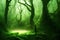 Magic deep green forest with fairytale sunny evening light through branches of trees landscape. Mysterious portal tunnel