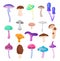 Magic Fantasy Mushrooms with Fancy Cap on Stem Big Vector Set