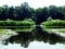 Magic flora of Obedska pond in reality and reflection on the water surface