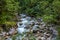 Magic Forest Zauberwald at Lake Hintersee with Creek Ramsauer Ache. National Park Berchtesgadener Land, Germany