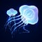 Magic glowing jellyfish underwater. Undersea world. Flock of jellyfishes swimming in the ocean. Vector.