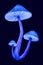 Magic glowing mushroom bunch isolated on dark background. Neon blue toadstool