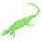 Magic green lizard icon, isometric style