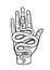 Magic hand and snake. Fortune telling concept. Spiritual Palmistry symbol logo and temporary tattoo. Esoteric mystical