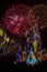 Magic Kingdom Cinderella Castle Fireworks Orlando