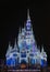 Magic Kingdom Cinderella Castle Orlando Florida