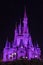 Magic Kingdom Cinderella Castle Orlando Florida