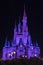 Magic Kingdom Cinderella Castle Orlando Florida