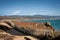 Magic landscape on the Pacific shore near Pescadero