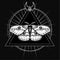 Magic moth. Esoteric symbol, sacred geometry.