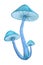 Magic mushroom bunch isolated on white background. Neon blue glowing toadstool