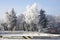 Magic nature place in winter temperatures, frozen tree branches, blue sky, frosty winter day