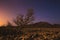 Magic night in Israel Negev desert. Stars shining